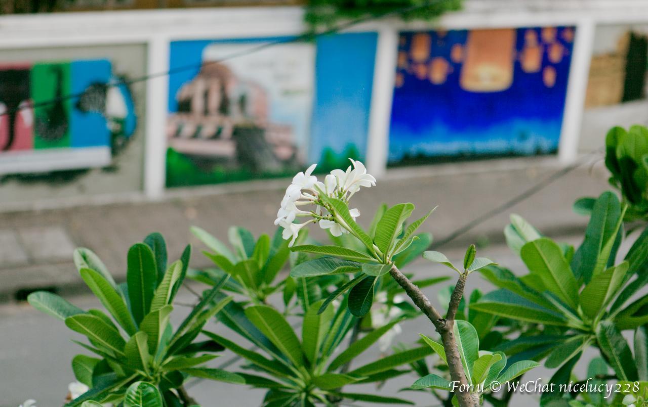 Meesuk Boutique House Hotel Chiang Mai Bagian luar foto